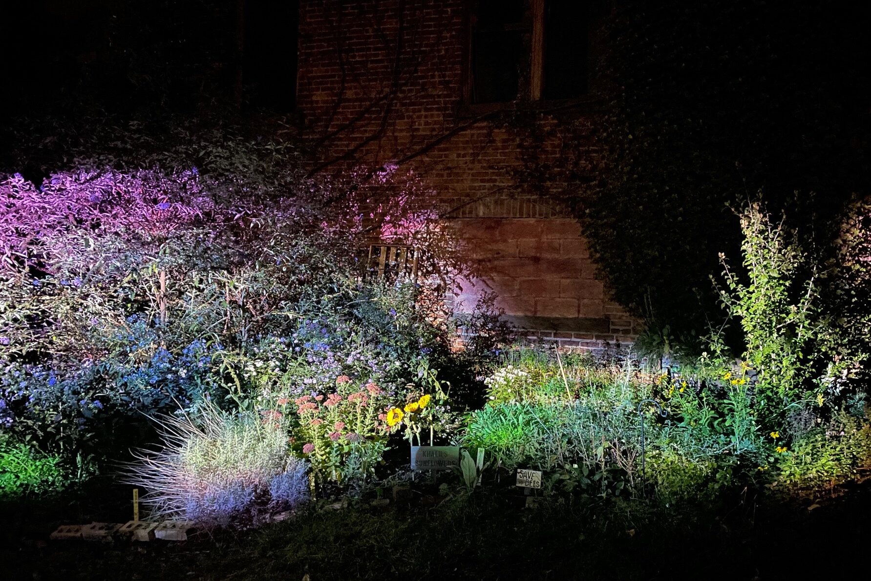 PollinatorGarden-Paula-Young